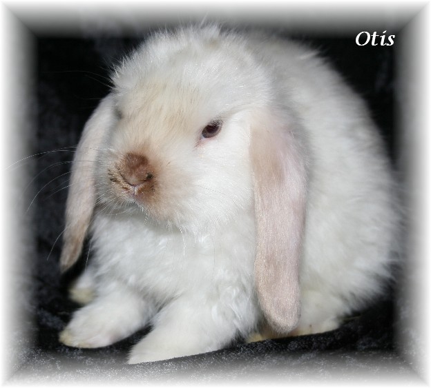 Otis20031002