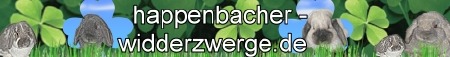 banner2_happenbacher-widderzwerge02